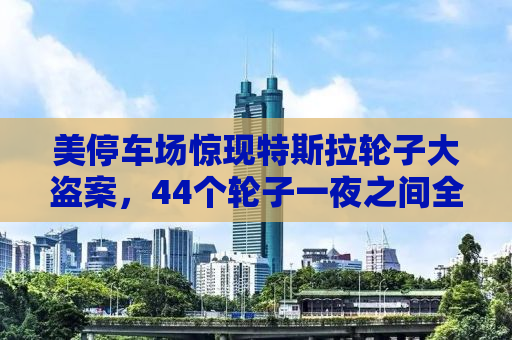 美停车场惊现特斯拉轮子大盗案，44个轮子一夜之间全失窃！